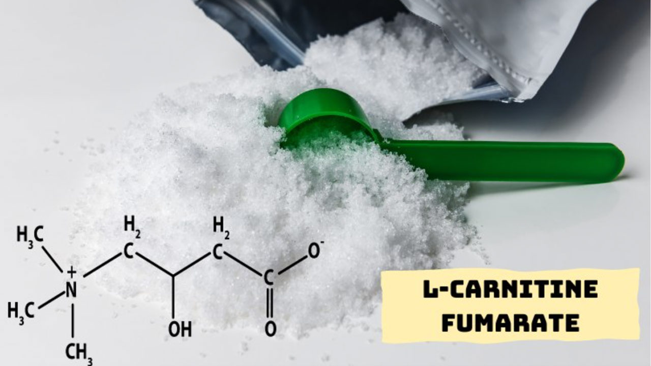L-carnitine fumarate: Hoạt chất hỗ trợ giảm cân an toàn, hiệu quả