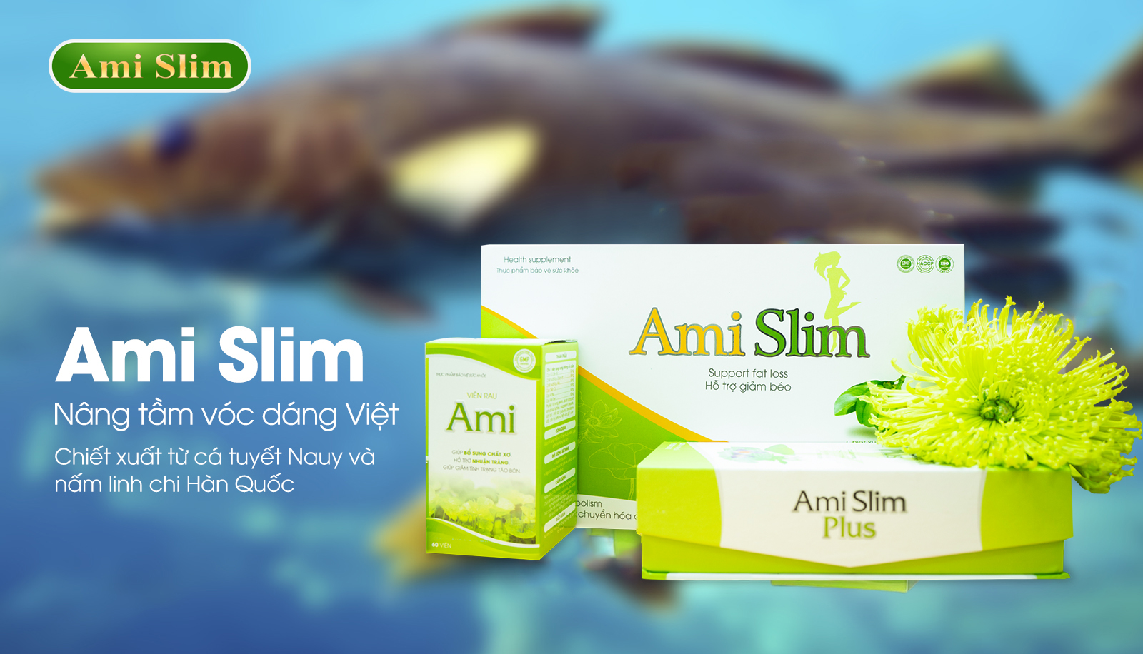 Ami Slim - thương hiệu thực phẩm hỗ trợ giảm cân an toàn và hiệu quả được nhiều người phản hồi tích cực